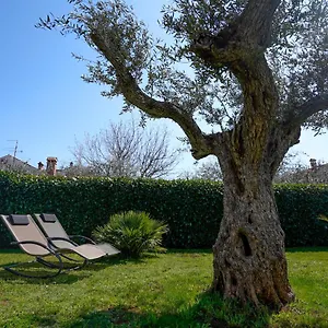 https://apartments-palm-view.in-istria.net